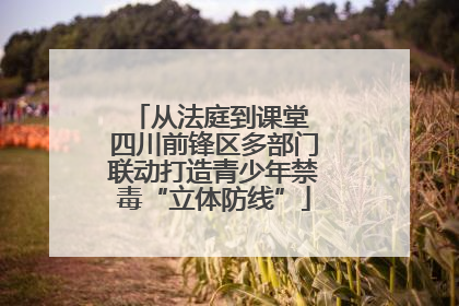 从法庭到课堂 四川前锋区多部门联动打造青少年禁毒“立体防线”