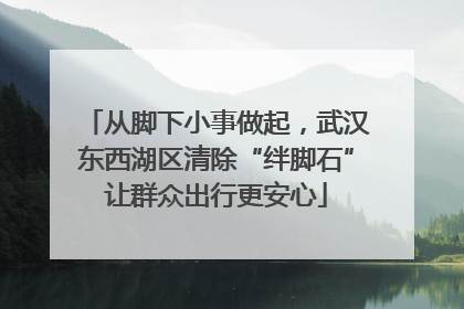 从脚下小事做起，武汉东西湖区清除“绊脚石”让群众出行更安心