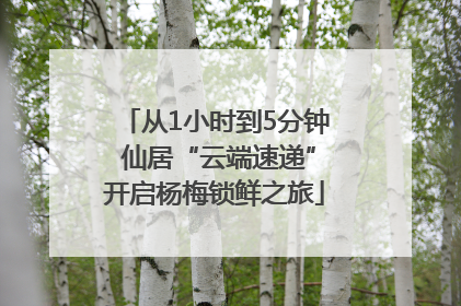 从1小时到5分钟 仙居“云端速递”开启杨梅锁鲜之旅