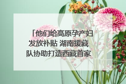 他们给高原孕产妇发放补贴 湖南援藏队协助打造西藏首家高原产儿协同中心