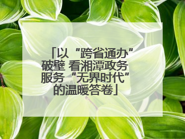 以“跨省通办”破壁 看湘潭政务服务“无界时代”的温暖答卷