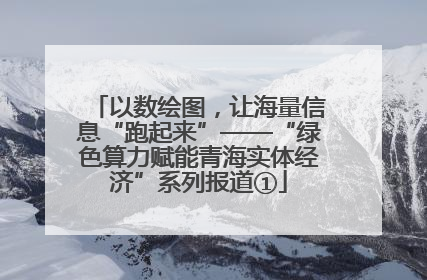 以数绘图，让海量信息“跑起来”——“绿色算力赋能青海实体经济”系列报道①