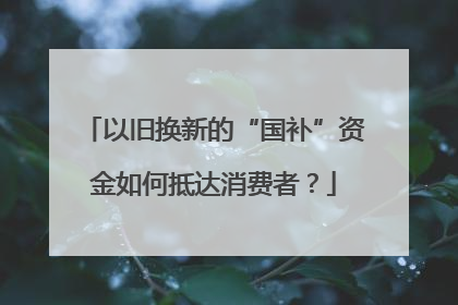 以旧换新的“国补”资金如何抵达消费者？