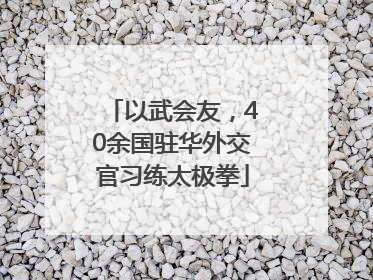 以武会友，40余国驻华外交官习练太极拳