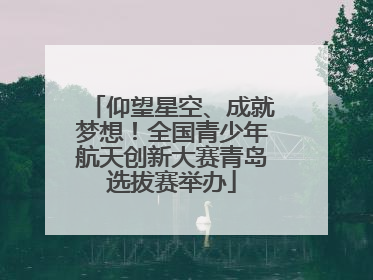 仰望星空、成就梦想！全国青少年航天创新大赛青岛选拔赛举办