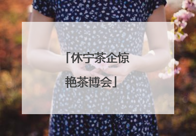 休宁茶企惊艳茶博会