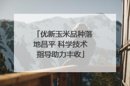 优新玉米品种落地昌平 科学技术指导助力丰收