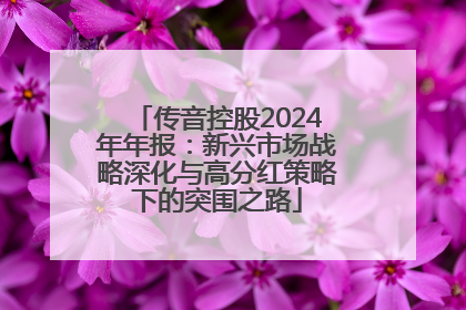 传音控股2024年年报：新兴市场战略深化与高分红策略下的突围之路