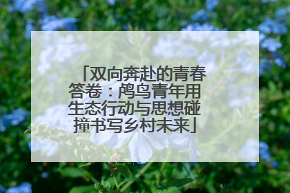 双向奔赴的青春答卷：鸬鸟青年用生态行动与思想碰撞书写乡村未来