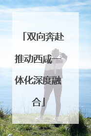 双向奔赴推动西咸一体化深度融合