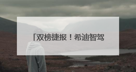 双榜捷报！希迪智驾闪耀“2025全球工程机械50强峰会”