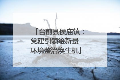 台前县侯庙镇：党建引领绘新景 环境整治焕生机