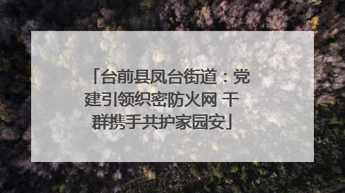 台前县凤台街道：党建引领织密防火网 干群携手共护家园安