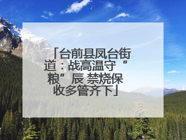 台前县凤台街道：战高温守“粮”辰 禁烧保收多管齐下