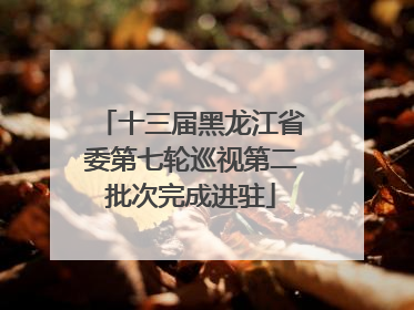十三届黑龙江省委第七轮巡视第二批次完成进驻