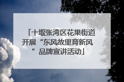 十堰张湾区花果街道开展“东风故里育新风”品牌宣讲活动