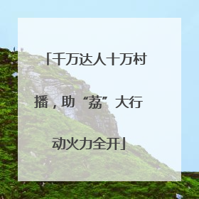 千万达人十万村播，助“荔”大行动火力全开