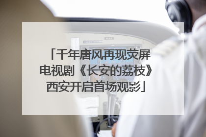 千年唐风再现荧屏 电视剧《长安的荔枝》西安开启首场观影