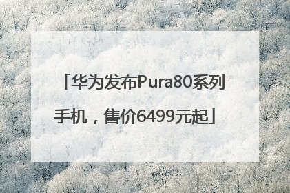 华为发布Pura80系列手机，售价6499元起
