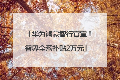 华为鸿蒙智行官宣！智界全系补贴2万元