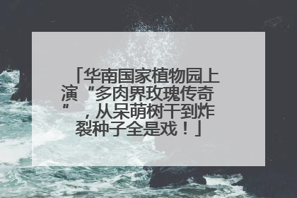华南国家植物园上演“多肉界玫瑰传奇”，从呆萌树干到炸裂种子全是戏！
