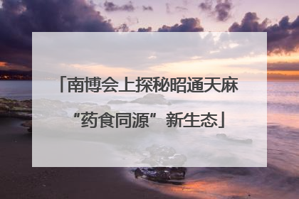 南博会上探秘昭通天麻“药食同源”新生态