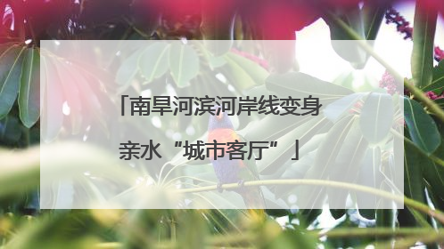 南旱河滨河岸线变身亲水“城市客厅”
