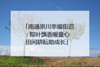 南通崇川幸福街道：粽叶飘香暖童心 田间耕耘助成长