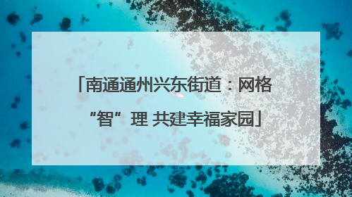 南通通州兴东街道：网格“智”理 共建幸福家园