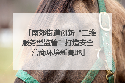 南郊街道创新“三维服务型监管”打造安全营商环境新高地