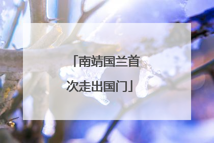 南靖国兰首次走出国门