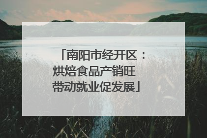 南阳市经开区：烘焙食品产销旺 带动就业促发展