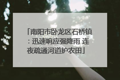 南阳市卧龙区石桥镇：迅速响应强降雨 连夜疏通河道护农田