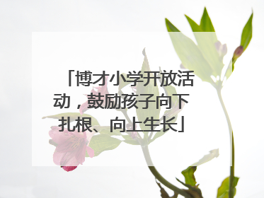 博才小学开放活动，鼓励孩子向下扎根、向上生长