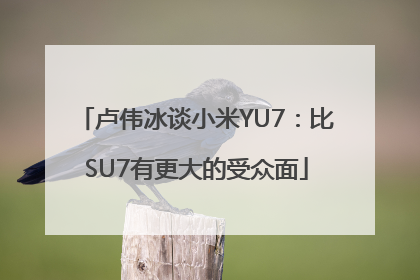 卢伟冰谈小米YU7：比SU7有更大的受众面