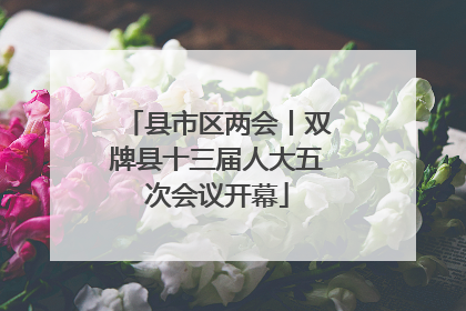 县市区两会丨双牌县十三届人大五次会议开幕