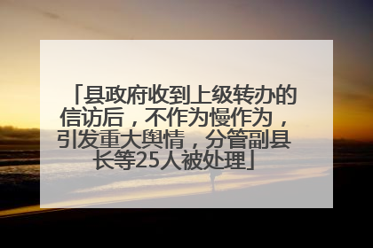 县政府收到上级转办的信访后，不作为慢作为，引发重大舆情，分管副县长等25人被处理