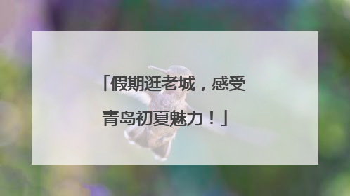 假期逛老城，感受青岛初夏魅力！