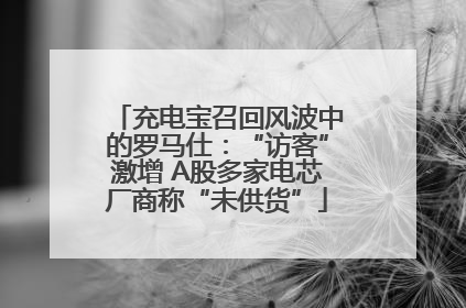 充电宝召回风波中的罗马仕：“访客”激增 A股多家电芯厂商称“未供货”