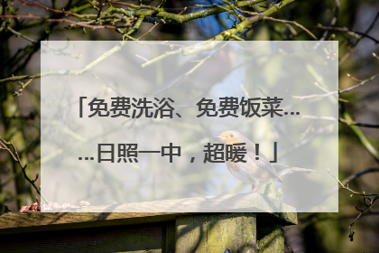 免费洗浴、免费饭菜……日照一中，超暖！