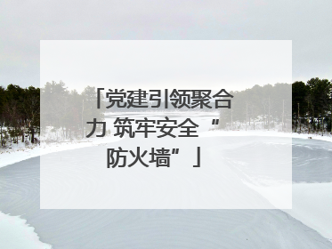 党建引领聚合力 筑牢安全“防火墙”