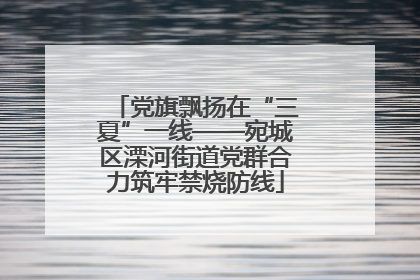 党旗飘扬在“三夏”一线——宛城区溧河街道党群合力筑牢禁烧防线