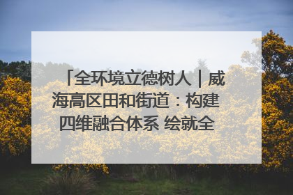 全环境立德树人｜威海高区田和街道：构建四维融合体系 绘就全环境立德树人新画卷