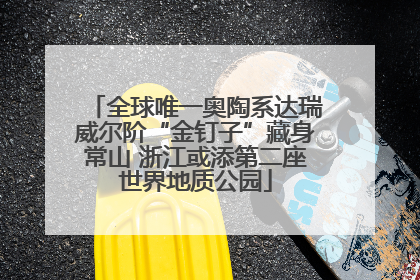 全球唯一奥陶系达瑞威尔阶“金钉子”藏身常山 浙江或添第二座世界地质公园