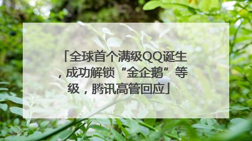 全球首个满级QQ诞生，成功解锁“金企鹅”等级，腾讯高管回应