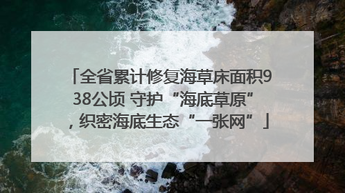 全省累计修复海草床面积938公顷 守护“海底草原”，织密海底生态“一张网”