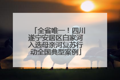 全省唯一！四川遂宁安居区白家河入选母亲河复苏行动全国典型案例