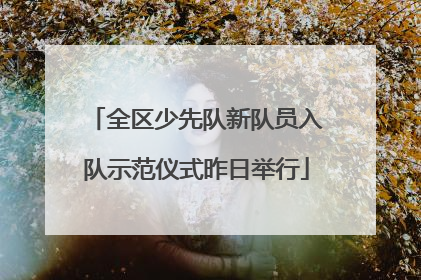 全区少先队新队员入队示范仪式昨日举行