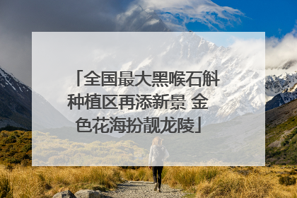 全国最大黑喉石斛种植区再添新景 金色花海扮靓龙陵