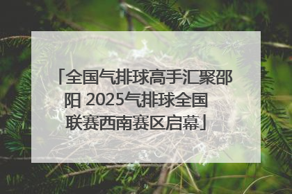 全国气排球高手汇聚邵阳 2025气排球全国联赛西南赛区启幕